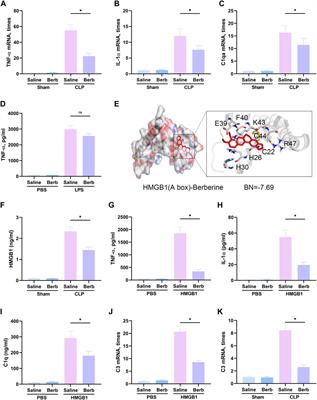 Blocking HMGB1/RAGE Signaling by Berberine Alleviates A1 Astrocyte and Attenuates Sepsis-Associated Encephalopathy